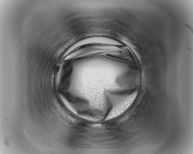 X0000102510153200808291742