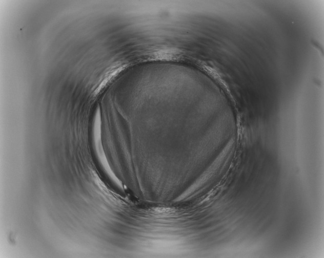 X0000102510154200808291742