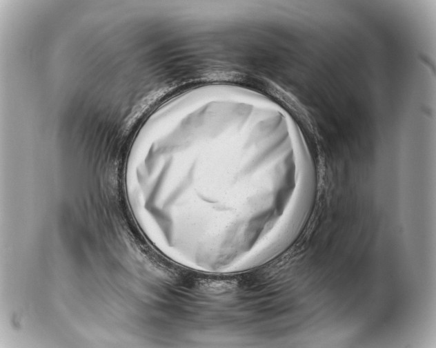 X0000102510155200808291742