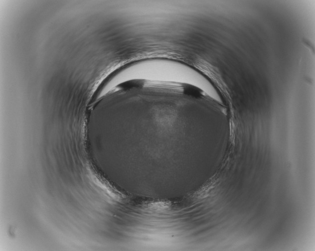 X0000102510156200808291742