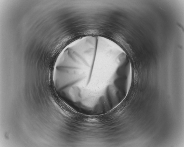 X0000102510157200808291742