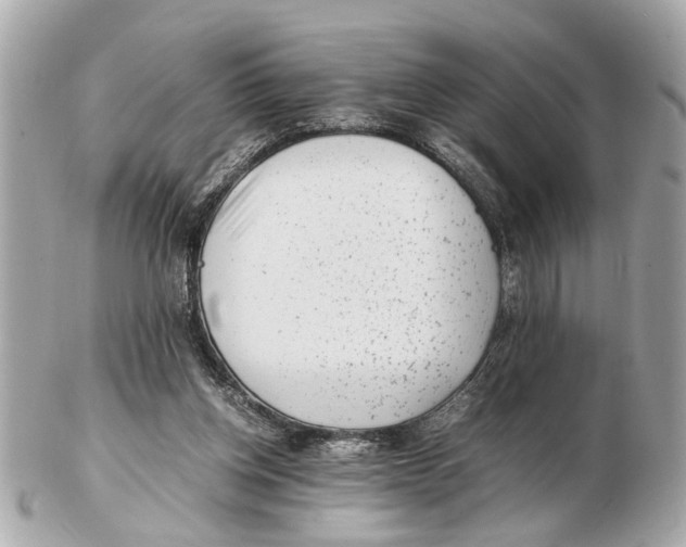 X0000102510158200808291742