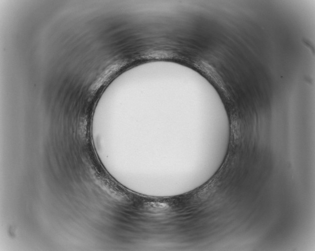 X0000102510159200808291742
