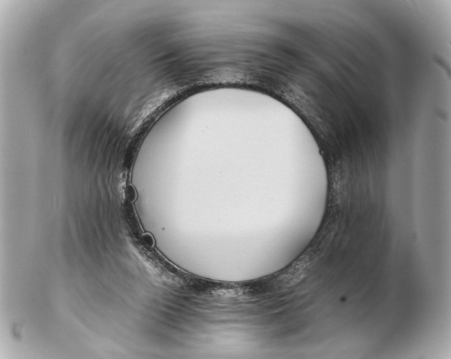 X0000102510160200808291742