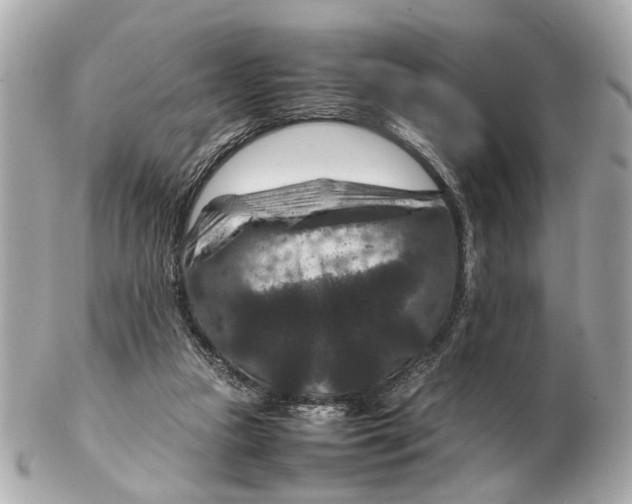 X0000102510161200808291742