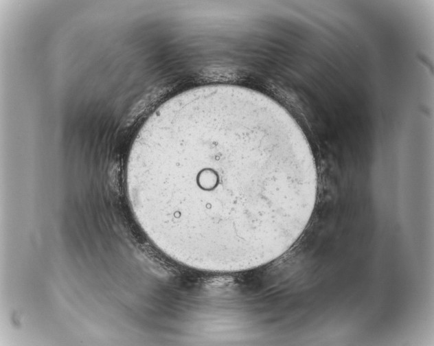 X0000102510162200808291742