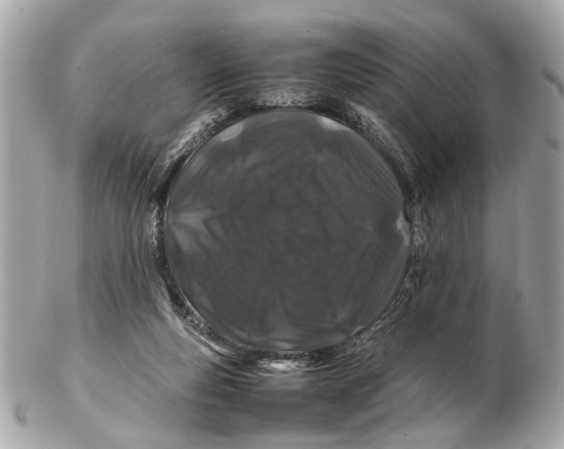 X0000102510163200808291742