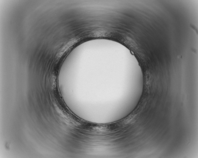 X0000102510164200808291742