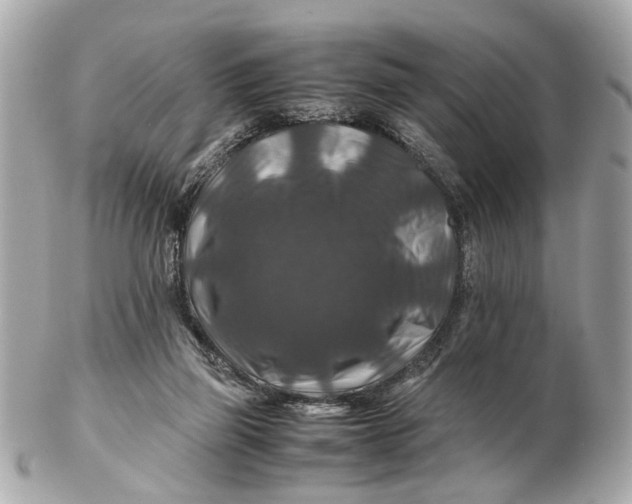 X0000102510165200808291742