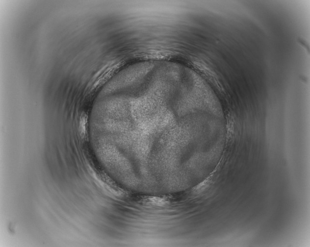 X0000102510166200808291742