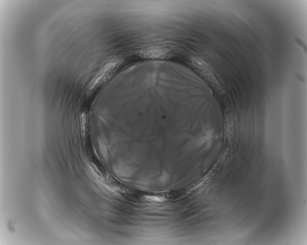 X0000102510167200808291742