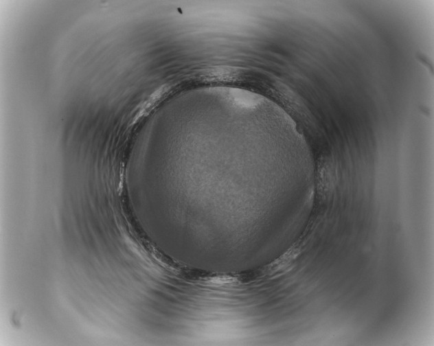 X0000102510168200808291742