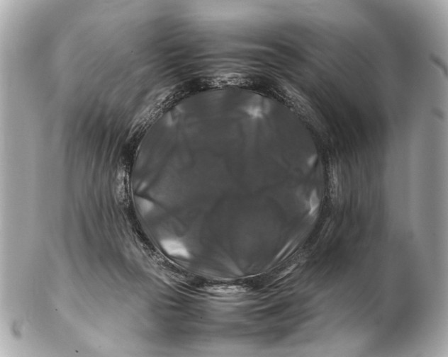 X0000102510169200808291742