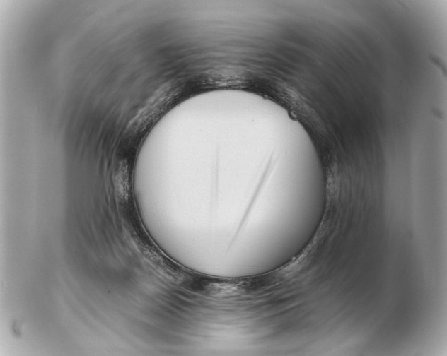X0000102510170200808291742