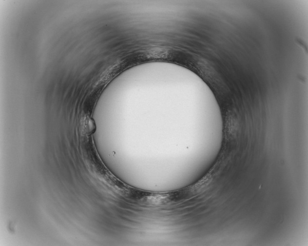 X0000102510172200808291742