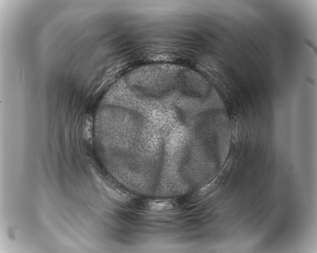 X0000102510175200808291742