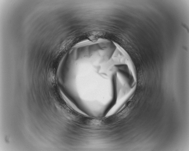 X0000102510176200808291742