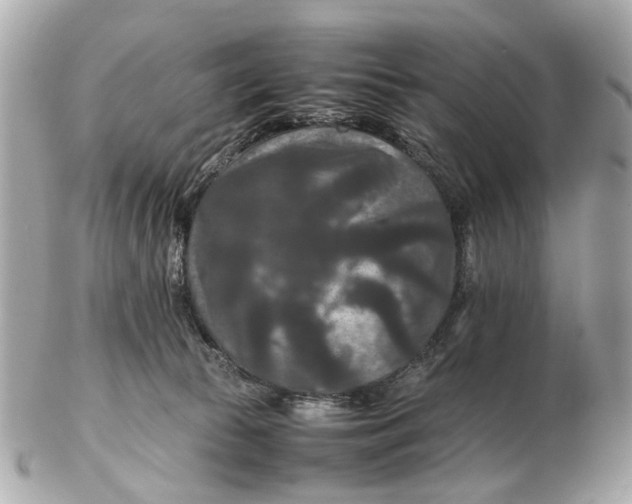 X0000102510177200808291742