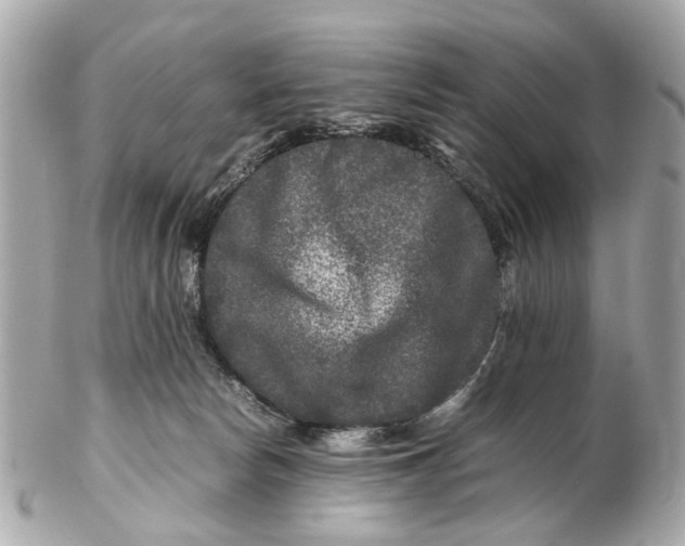 X0000102510178200808291742