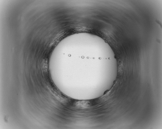 X0000102510179200808291742