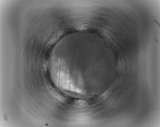 X0000102510180200808291742