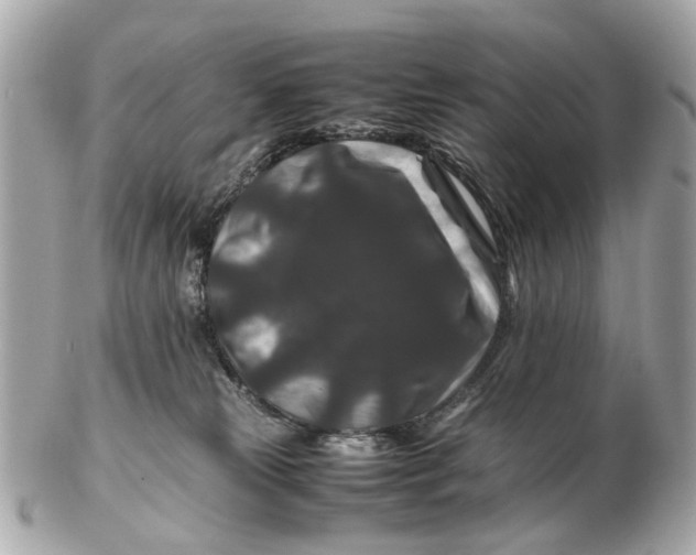 X0000102510181200808291742