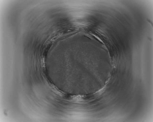 X0000102510182200808291742