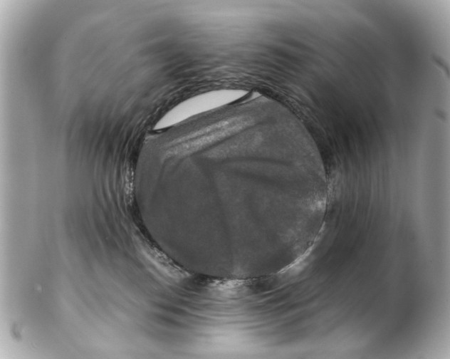 X0000102510186200808291742