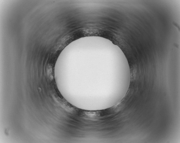 X0000102510187200808291742