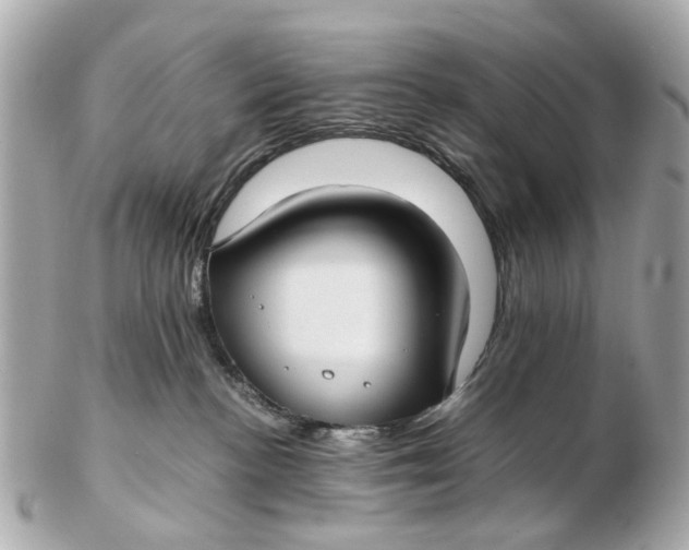X0000102510188200808291742