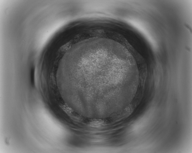 X0000102510189200808291742