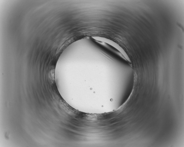 X0000102510190200808291742