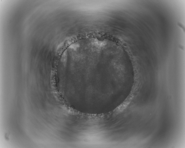 X0000102510192200808291742