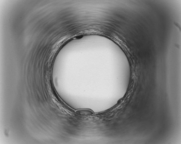 X0000102510193200808291741