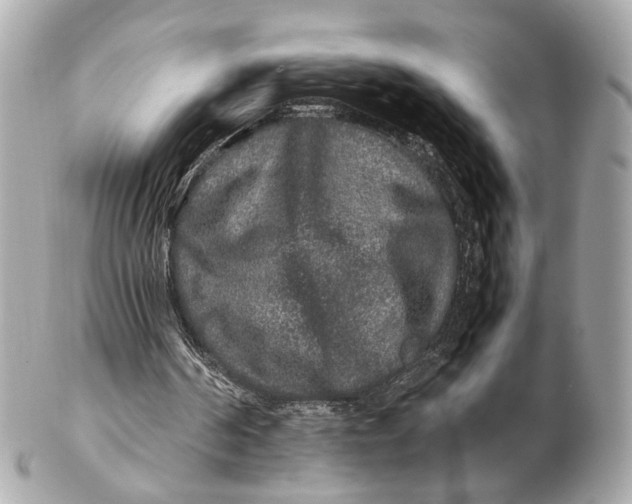 X0000102510194200808291741