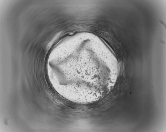 X0000102510195200808291741
