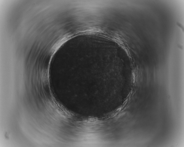 X0000102510196200808291741