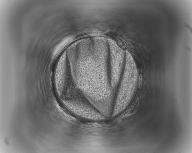 X0000102510197200808291741