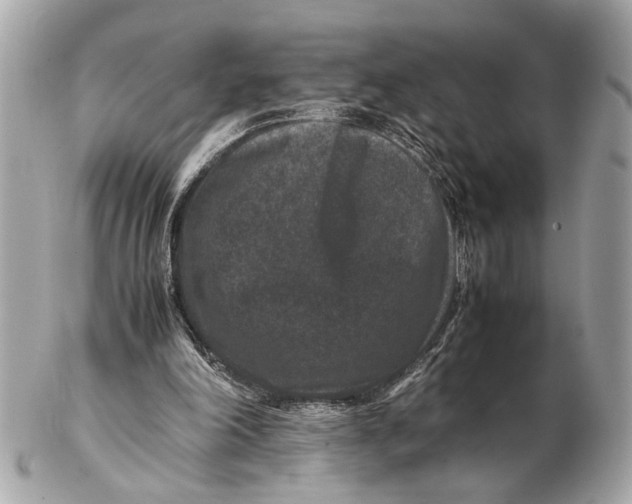 X0000102510198200808291741