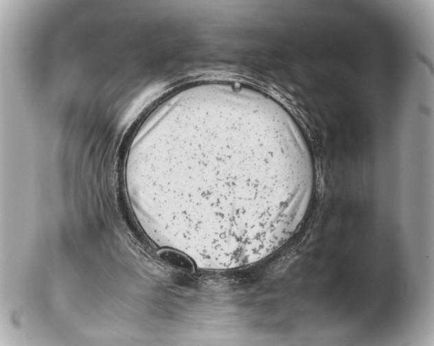 X0000102510199200808291741
