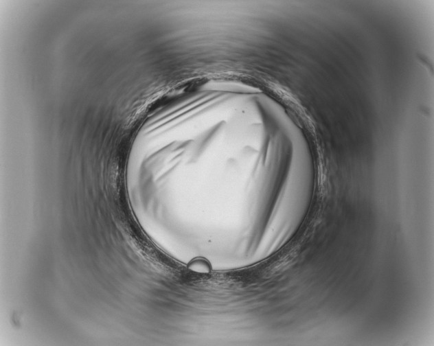 X0000102510201200808291741