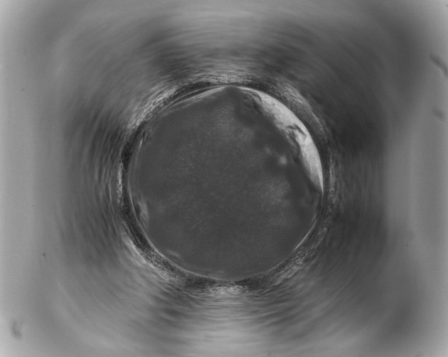 X0000102510202200808291741