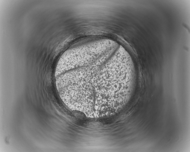 X0000102510203200808291741