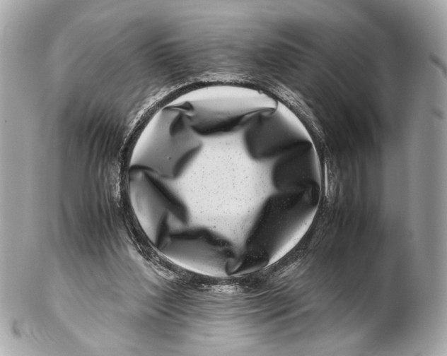 X0000102510204200808291741