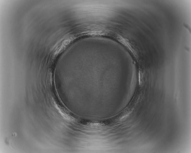 X0000102510205200808291741