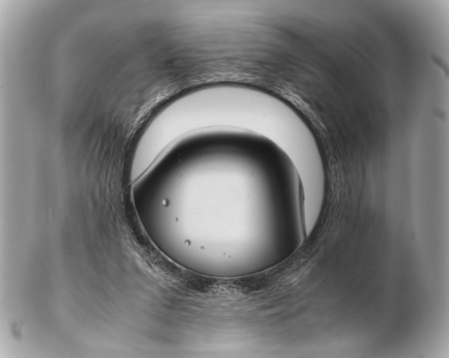 X0000102510207200808291741