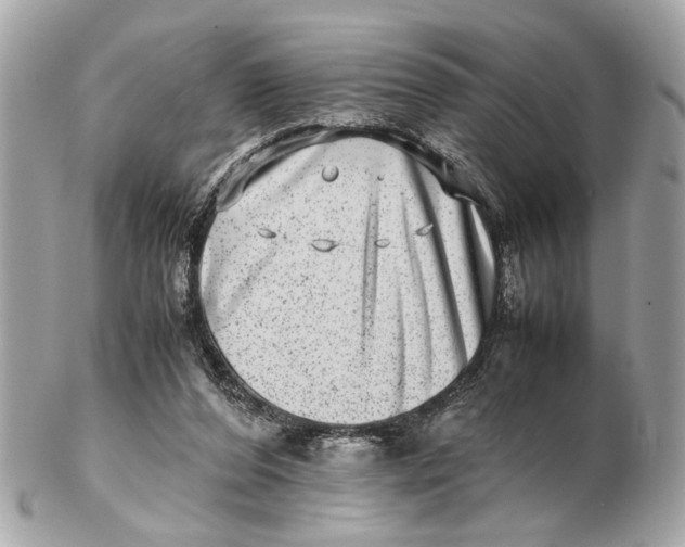 X0000102510208200808291741