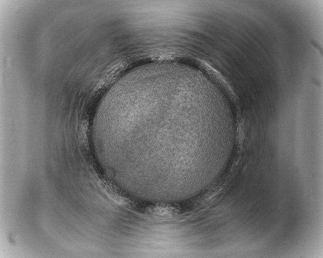 X0000102510209200808291741