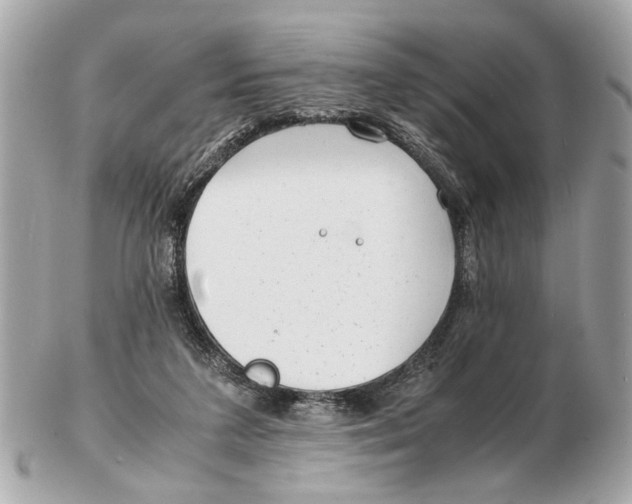 X0000102510211200808291741