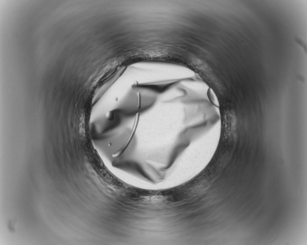 X0000102510212200808291741